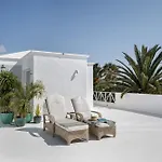 Amonita