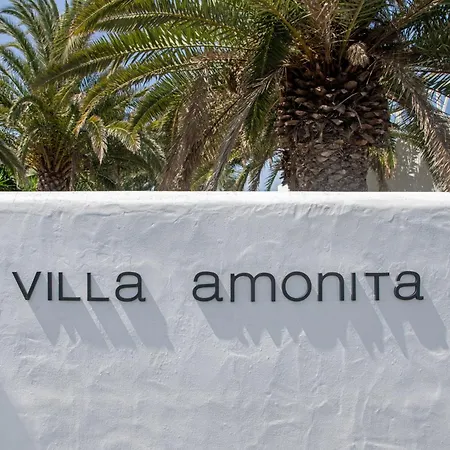 Villa Amonita *