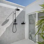 Amonita * Tiagua