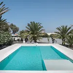 Amonita